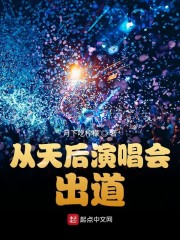 从天后演唱会出道324章