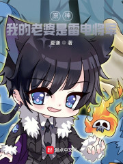原神我的老婆是雷电将军
