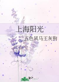 上海阳光宝宝卡