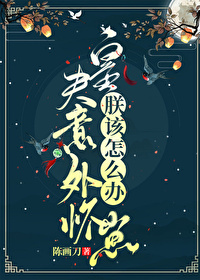 朕该怎么办TXT