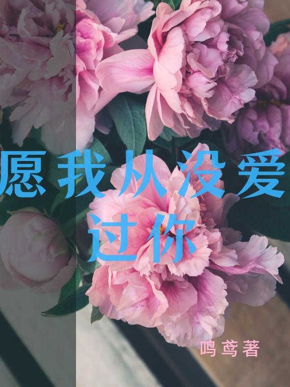 唯愿从没爱过你txt下载
