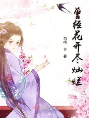 曾经花开尽灿烂小说