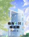 棉花糖多少钱一只