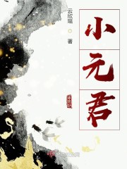 小元君小说