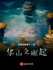 华山之崛起张文