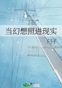 幻想照进现实简介