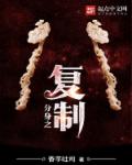 海兰萨领主顶点小说