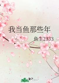 我与公司那些年