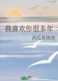 我不追星 但我喜欢你很多年了