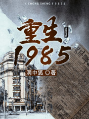 重生1985苏峥小说