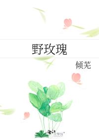 野玫瑰的花语是什么