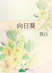 向日葵开花描写