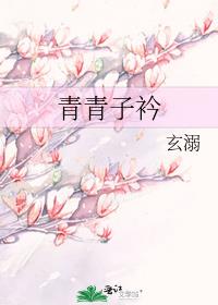 青青子衿的子是什么意思