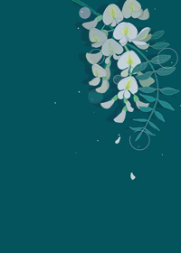 落槐花的诗句
