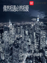 偶然相遇必然相爱电视剧