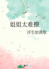姐姐太难了