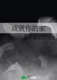 家艺术成就