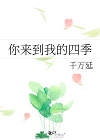 我的四季教案