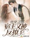 快穿之宿主又被反撩了怎么样