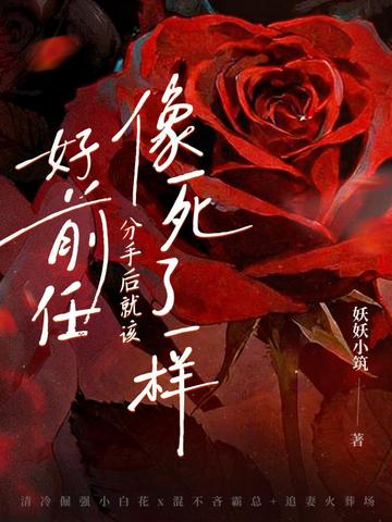 好前任，分手后就该像死了一样