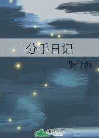 最伤感的分手日记
