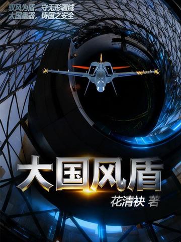 大国风盾