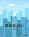 暗夜锦衣行