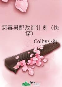 恶毒男配改造计划(快穿)