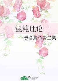 混沌理论免费观看