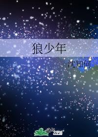 狼少年歌曲台风少年团