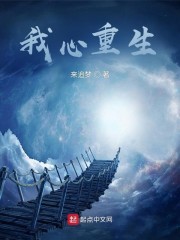 我心重生小说