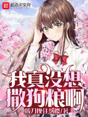 我真没想撒狗粮啊txt下载书荒网