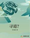 寻道回合变态版