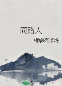 同路人歌词歌曲