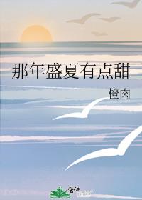 那年盛夏微微甜小说