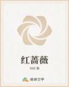 红蔷薇电视剧全集剧情介绍